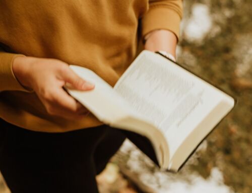 4 Encouraging Scriptures Every Christian Should Memorize